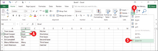 Flash Fill Excel 2016 Mac